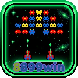 8899win